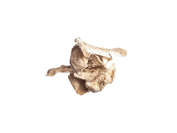 PetDK Sikurin juuret 125g