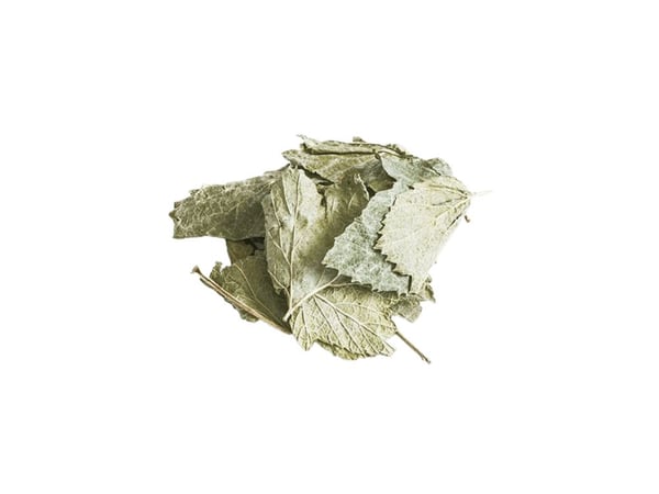 PetDK Solbærblade 100g