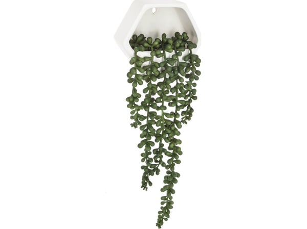 Bikuva.lt dekorativ hengende plante i potte 14x5x45 cm Atmosphera 155634