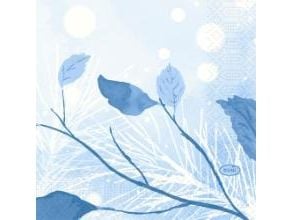 Duni servetter 24x24 cm 3-lagers 1/4-fold Frosted Winter, 20 pack x 50 st/fp