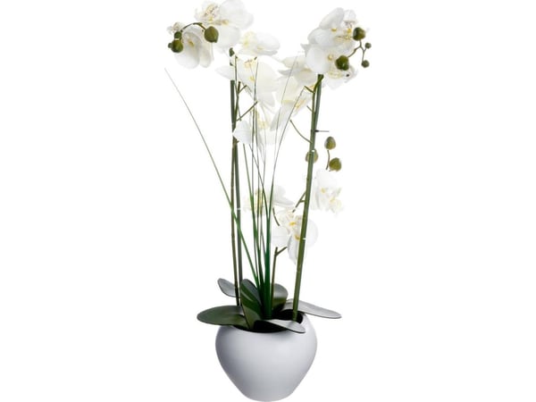 Atmosphera Orchid i hvit krukke, 53 cm