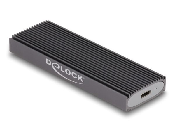 Delock - Lagringspakke - M.2 - M.2-kort (PCIe NVMe &amp; SATA) / SATA SSD - USB-C 3.1 (Gen 2) - grå