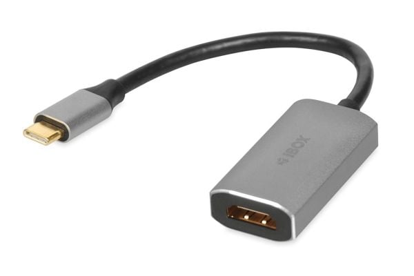 iBOX - Video adapter - USB-C hann til HDMI hunn - sølv
