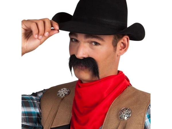 Aster Wasy cowboy univ