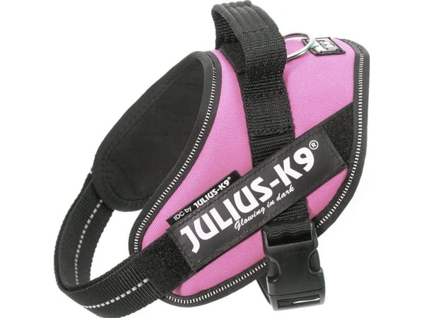 Julius-K9 K9 IDC sele str. Mini rosa 49-67 cm