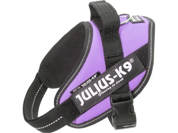 Julius-K9 K9 IDC-sele, storlek: Mini, lila 49-67 cm