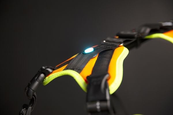 Julius-K9 K9 Mantrailing/Outd. sele, Str.: L-XL/Uv Orange m. neon kant