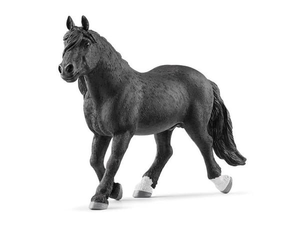 schleich 13958, 3 vuosi/vuosia, Horses, Musta, Muovi