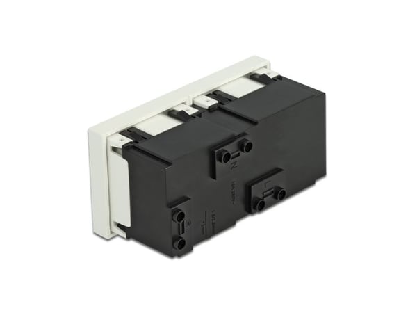 Delock Easy 45 suojakoskettimen pistorasia 2-kertainen 45° järjestely 45 x 45 mm 45 x 45 mm