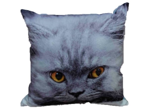 Kat pudebetræk 43 x 43 cm