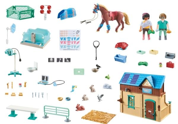 Playmobil 71352, 5 år, Flerfarget, Plast