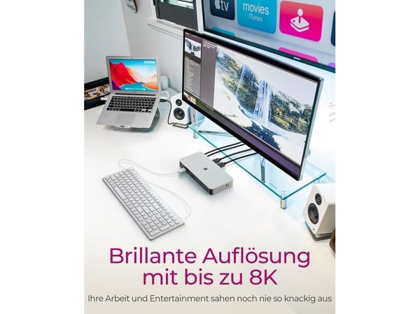 ICY BOX IB-DK2880-C41 - Dokkingstasjon - USB-C - 2 x HDMI - 1GbE - 100 watt