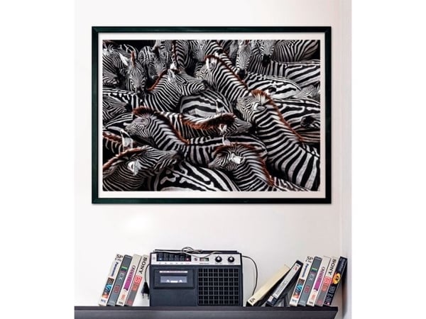 Clementoni Zebra, 1000 stykker, Dyr, 18 år