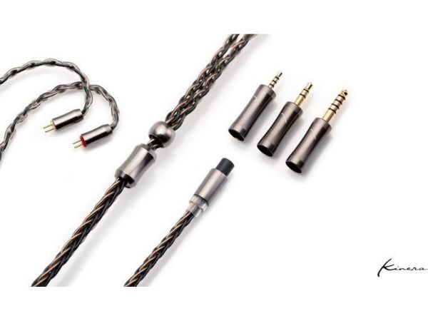 Kinera Leyding 2-polig kabel