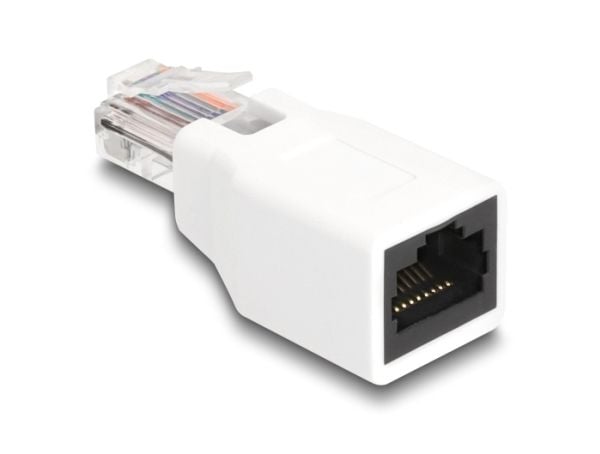 Delock RJ50-sovitin uros-naaras valkoinen