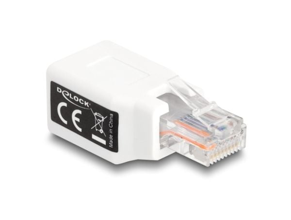 Delock RJ50-sovitin uros-naaras valkoinen