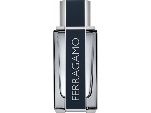 Salvatore Ferragamo Ferragamo EDT M 100 ml