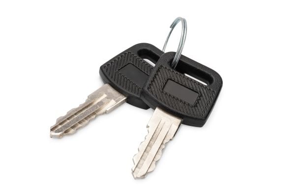 Digitus DN-KEY-WM, Lukitusavain, Musta, Hopea, Kiina, 5 mm, 45 mm, 20 mm