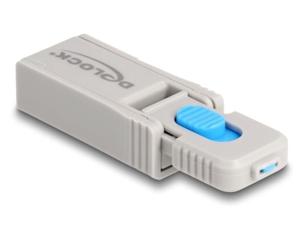 DeLOCK 20923, Portin lukitsin + avain, USB A-tyyppi, Sininen, Harmaa, Muovi, 6 kpl, Muovipussi