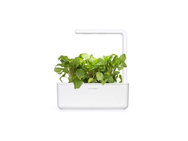 Click & Grow SGR55x3, Syötävä kasvi, Täyttöpakkaus, Kasvaa nopeasti (3–5 viikkoa), 7 - 14 päivää, 2 kuukautta, 18 - 24 °C