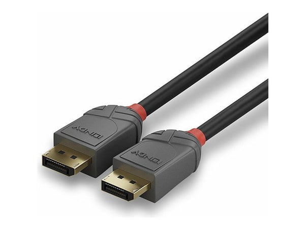 Lindy Anthra Line - DisplayPort-kabel - DisplayPort (hann) til DisplayPort (hann) - DisplayPort 1.1 - 15 m - rund, 1920 x 1200 (WUXGA)-støtte - svart