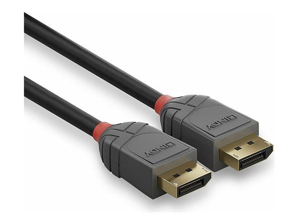 Lindy Anthra Line - DisplayPort-kabel - DisplayPort (hann) til DisplayPort (hann) - DisplayPort 1.1 - 15 m - rund, 1920 x 1200 (WUXGA)-støtte - svart