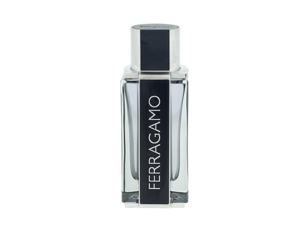 Salvatore Ferragamo Ferragamo Eau De Toilette 100 ml (man)
