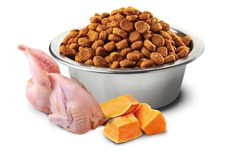 Farmina N&D CAT Pumpkin Quail & Pomegranate – voksne katter (vaktel, gresskar og granateple) 1,5 kg