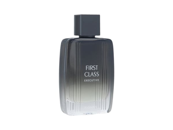 Aigner First Class Executive Eau De Toilette 100 ml (man)