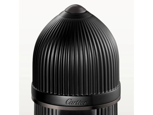 Cartier Pasha de Cartier Noir Absolu Parfum 100 ml (man)