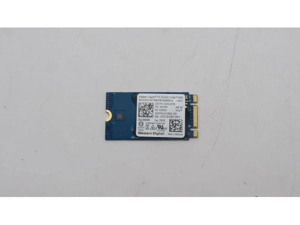 SSD M.2 PCIe NVMe FRU SSD 256GB RoHS WD M.2-2242 SN520