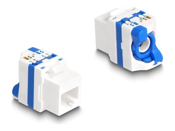 Delock - Keystone module - RJ-45 (hunn) til LSA (hunn) - UTP - CAT 6a - snap-in - hvit, blå