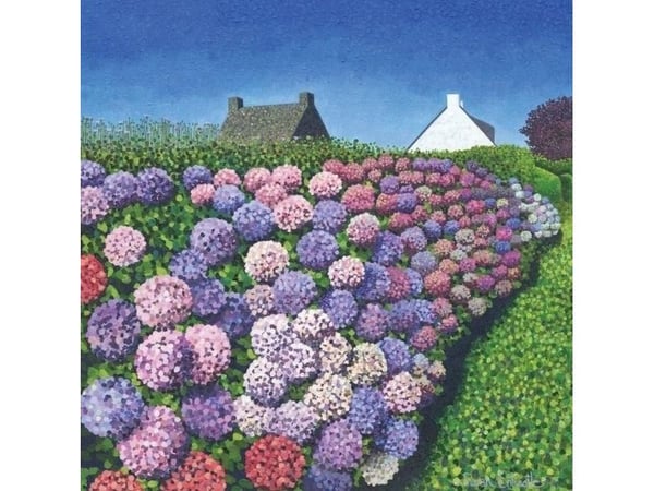 Kort med kuvert Hydrangeas in Vannes