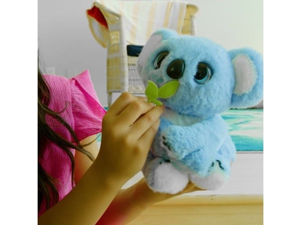 Sidney the Koala
