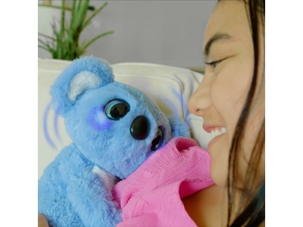 Sidney the Koala