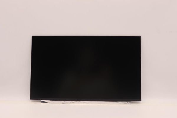 Thor FRU DISPLAY 15,6" HD TN 220nit 45%CG non-brakett INX