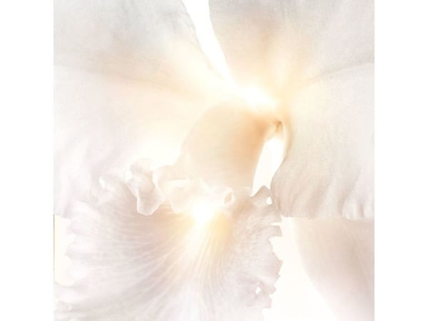 Guerlain Orchidée Impériale Brightening, Øyeserum, 15 ml, Kvinner, Motvirker mørke ringer, Anti-sløvhet, Motvirker tretthetstegn, Anti-rynke, Illum...