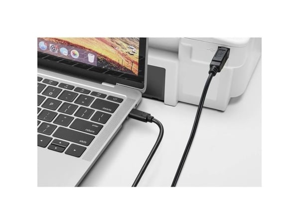 Renkforce RF-5720420, 2 m, USB C, USB B, USB 2.0, 0,48 Gbit/s, Svart