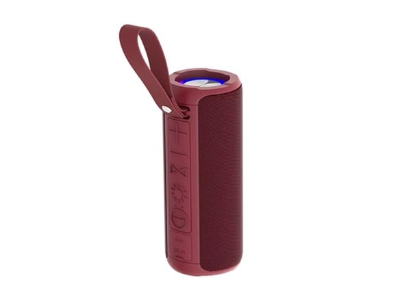 DENVER BTV-213 - Høyttaler - for bærbar bruk - trådløs - Bluetooth - 10 watt