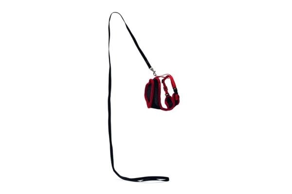 Hundsele Karlie, 360 - 480x10 mm