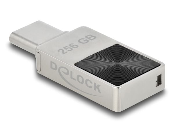 Delock Mini USB 5 Gbps USB-C minnepinne 256 GB - metallhus