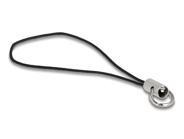 Delock Mini USB 5 Gbps USB-C minnepinne 256 GB - metallhus