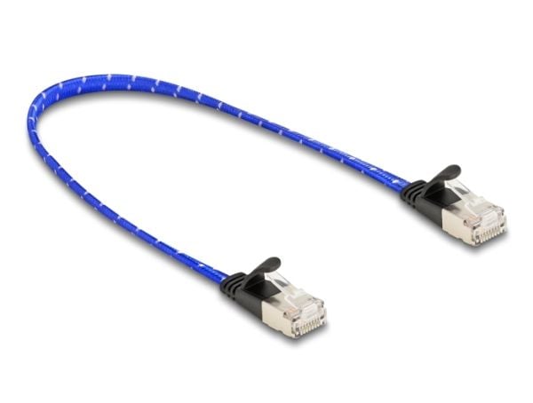 Delock - Nettverkskabel - RJ-45 (hann) til RJ-45 (hann) - 30 cm - U/FTP - CAT 6a - uten hindringer, flat, flettet belegg - blå