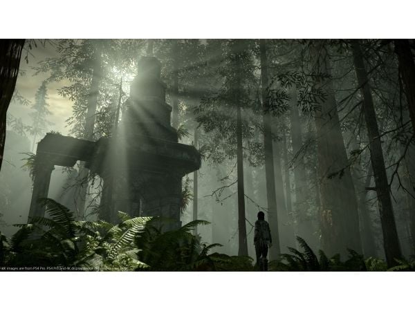 Sony Interactive Entertainment Shadow of the Colossus, PlayStation 4, T (Tonåring)