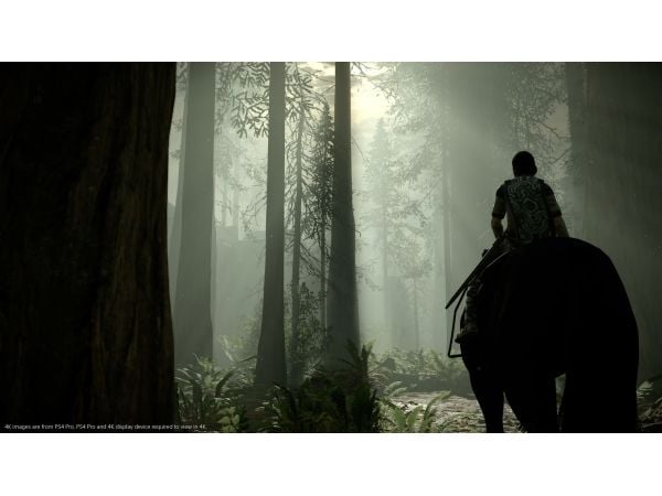Sony Interactive Entertainment Shadow of the Colossus, PlayStation 4, T (Tonåring)