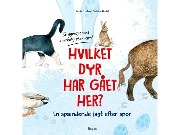 Hvilket dyr har gått her? Se dyresporene i ekte størrelse! | Språk: Dansk