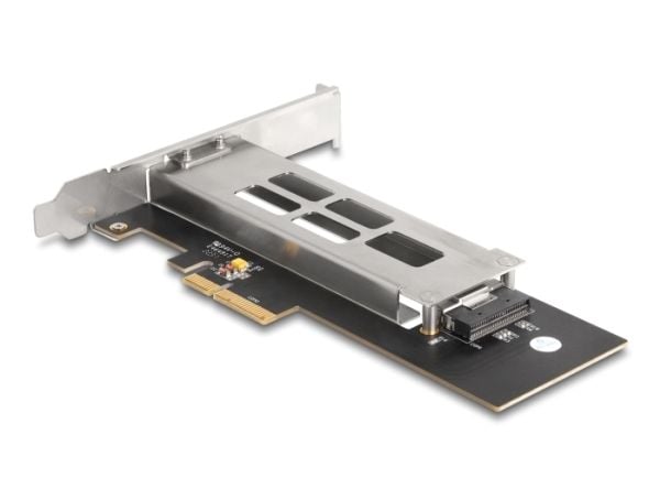 Delock - Bevegelig lagerrack - M.2 - M.2 NVMe Card - lav profil - PCIe 4.0 x4