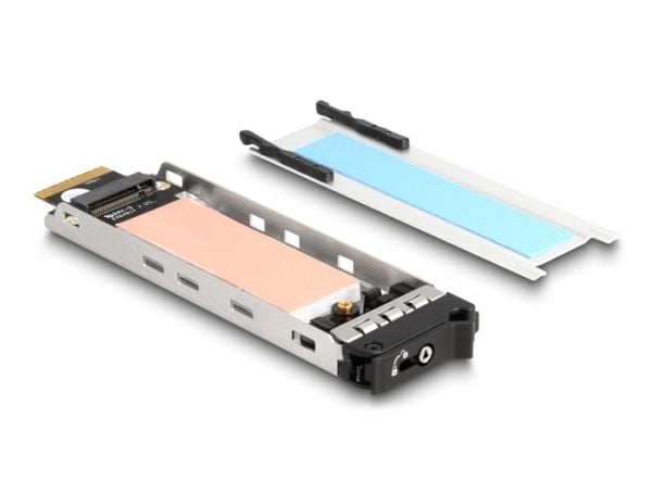 Delock - Bevegelig lagerrack - M.2 - M.2 NVMe Card - lav profil - PCIe 4.0 x4