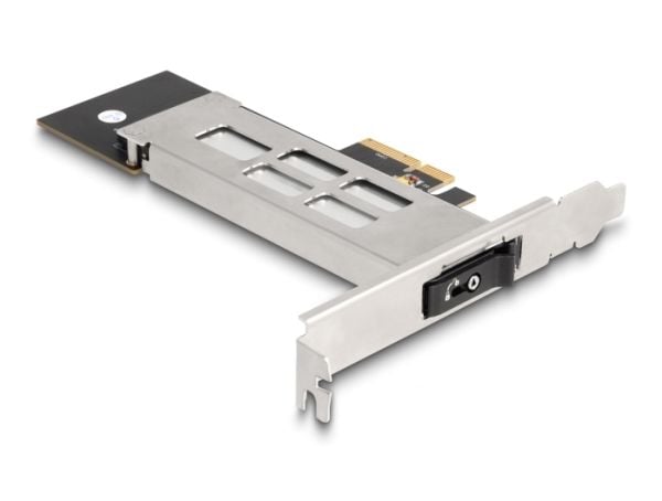 Delock - Bevegelig lagerrack - M.2 - M.2 NVMe Card - lav profil - PCIe 4.0 x4