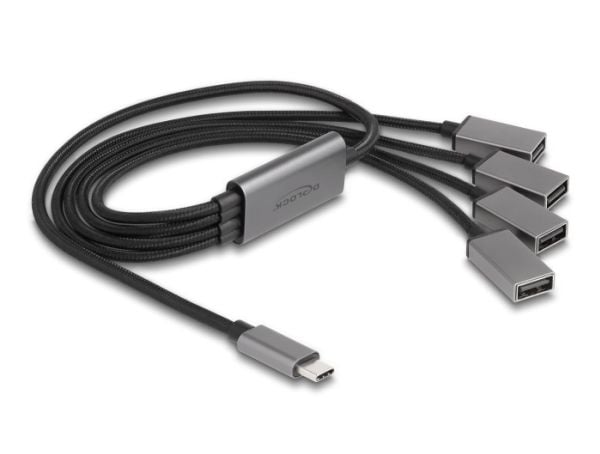 Delock - Hubb - 4 x USB 2.0 - skrivbordsmodell